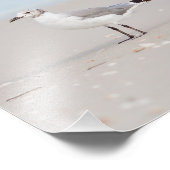 青い海と海の背景のカモメ フォトプリント (角)