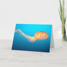 青い海に浮かぶアカクラゲ サンクスカード