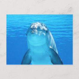 青い海に浮かぶ、かわいいイルカの海棲動物 ポストカード