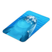 青い海に浮かぶ、かわいいイルカの海棲動物 マグネット (左側)