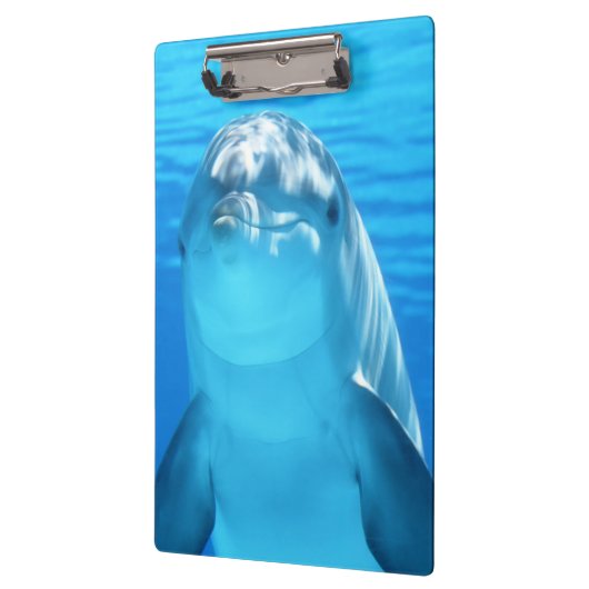 青い海のかわいいイルカの海生動物 クリップボード (左)