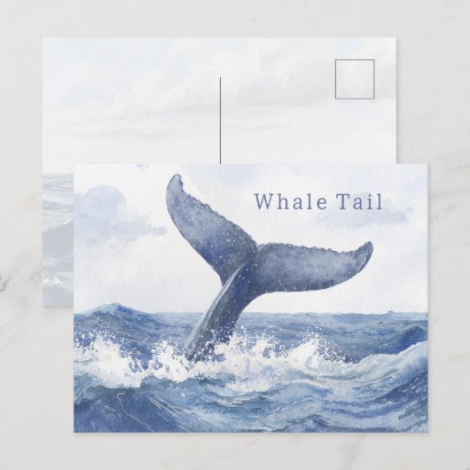 青い海のクジラの尾 ポストカード (正面/裏面)