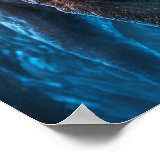 青い火のライオン ポスター (角)