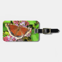 青い点を持つブラウンの蝶