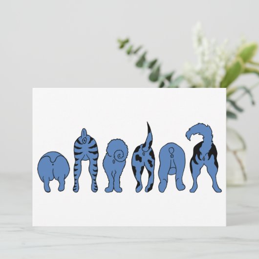 青い犬のお尻 招待状 (スタンド正面)