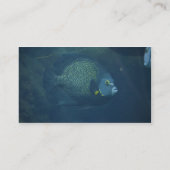 青い独特の味の魚 名刺 (裏面)