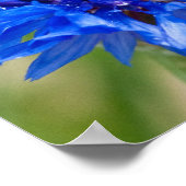 青い独身ボタンポスター ポスター (角)