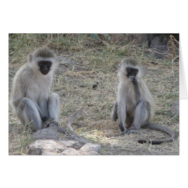 青い猿 (正面横)