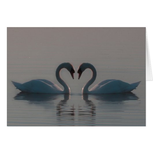 青い白鳥は心の中で愛に違空白のいない (正面横)