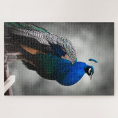 青い白黒孔雀大人1014部分 ジグソーパズル (横)