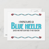 青い皮を取り上げた ポストカード (正面/裏面)