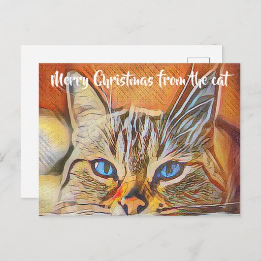 青い目かわいらしの猫アートメリークリスマスグリーティング ポストカード (正面/裏面)