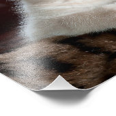 青い目とピンクの鼻で愛らしい白い子猫 フォトプリント (角)