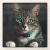 青い目とマッチングカラーのグレーと白の猫 ガラスコースター (正面)