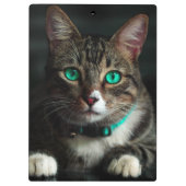 青い目とマッチングカラーのグレーと白の猫 クリップボード (裏面)