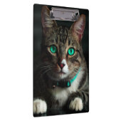 青い目とマッチングカラーのグレーと白の猫 クリップボード (右)