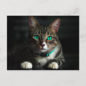 青い目とマッチングカラーのグレーと白の猫 ポストカード (正面)