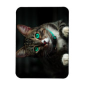 青い目とマッチングカラーのグレーと白の猫 マグネット (縦)