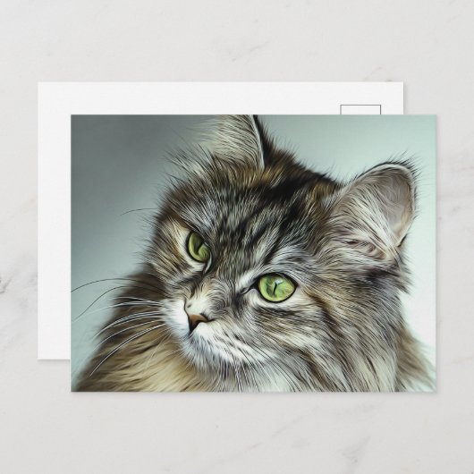 青い目のふわふわした猫油絵 ポストカード (正面/裏面)