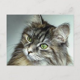 青い目のふわふわした猫油絵 ポストカード
