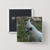 青い目のオウム 缶バッジ (正面&裏面)