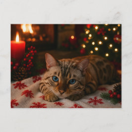 青い目のクリスマス猫のはがき　暖炉のある部屋 ポストカード