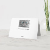 青い目のグリーティングカード カード (裏面)