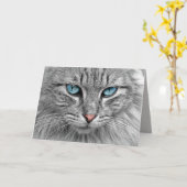 青い目のグリーティングカード カード (黄色い花)