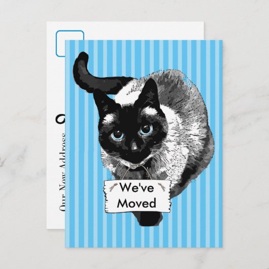 青い目のシャム猫が動く看板 案内ポストカード (正面/裏面)