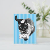 青い目のシャム猫が動く看板 案内ポストカード (スタンド正面)