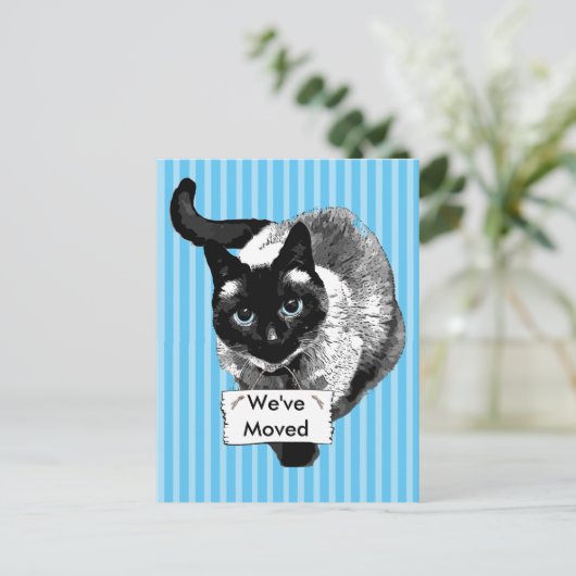 青い目のシャム猫が動く看板 案内ポストカード (スタンド正面)