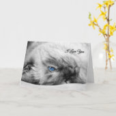 青い目のシャム猫が大好き カード (黄色い花)