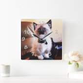 青い目のシャム猫の写真 スクエア壁時計 (ホーム)