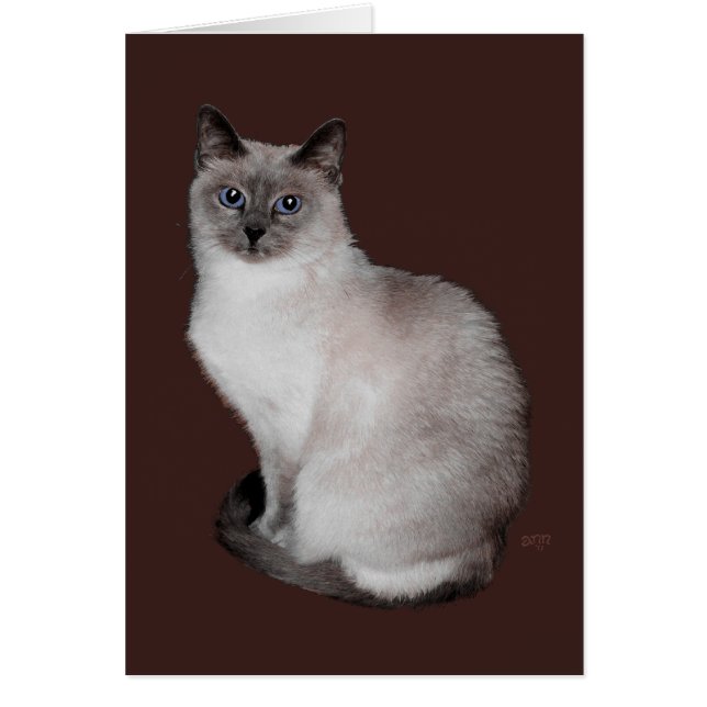 青い目のシャム猫 (正面)