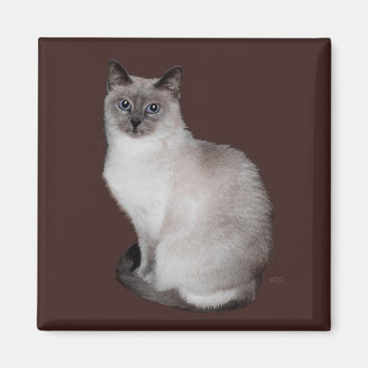 青い目のシャム猫 マグネット (正面)