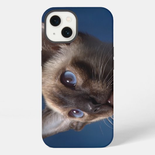 青い目のシャム猫 iPhoneケース (裏面)