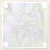 青い目のダーナトンボの花 ガラスコースター (裏面)