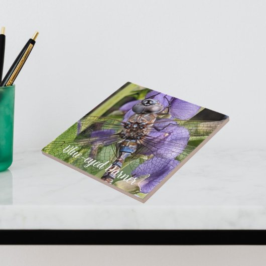 青い目のダーナトンボの花 タイル