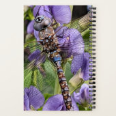 青い目のダーナトンボの花 ノートブック (裏面)