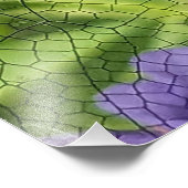 青い目のダーナトンボの花 フォトプリント            (角)