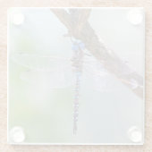 青い目のダーナトンボ ガラスコースター (裏面)