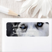 青い目のハスキーの宛名ラベル ラベル (インサイチュ)