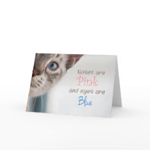 青い目のピンクの鼻の母の日のシャム猫