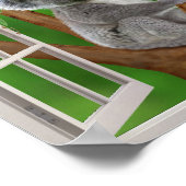 青い目のベビーコアラベアーフェイクウィンドウ ポスター (角)