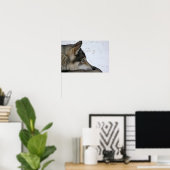 青い目のポスター付きハスキー犬 ポスター (ホームオフィス)