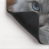 青い目のマウスパッドを持つ美しい灰色猫 マウスパッド (コーナー)