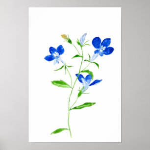 青い目のマリアの花 ポスター