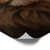 青い目のライオン ポスター (角)