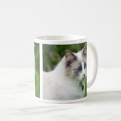 青い目のラグドール子猫 コーヒーマグカップ (正面右)
