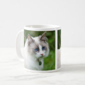 青い目のラグドール子猫 コーヒーマグカップ (正面左)